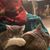 Anne Thruston's profile image