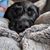 Jessica Wenner Kainz's profile image