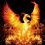 Phynx Asher's profile image