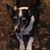 Carla Rylee Ledet's profile image