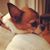 Coppelia S-Lopez's profile image