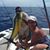 Kerry Coey's profile image