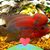 Randy Lau's profile image
