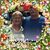 Cheryl N Bruce Spaulding's profile image