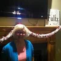 Mary Noel's profile image