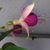 Alicia Constanza's profile image