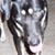 Lindy Egan's profile image