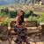 Lesley Miracle's profile image