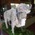 Debbie Lea's profile image