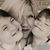 Dawn Bridges Mancuso's profile image