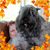 Kathy Wise's profile image