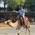 Robert Coffey III's profile image