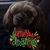 Candy Lynn's profile image