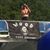 Dawn Carroll Wood's profile image