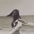 Maria Mendez's profile image