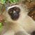 Hevva A Moore's profile image