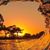 Rachel Mandapalli's profile image