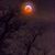 Lisa Childress Crothers's profile image