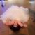 Susan Jones's profile image
