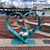 Dee Ann Farling Murphy's profile image