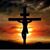 Michael Kurek's profile image