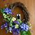 Alice Paul Ivey's profile image