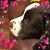 Marty Veverka's profile image