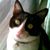 Dawson Scott Whitehurst's profile image