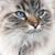 Marta Nelson's profile image