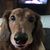 Linda Pemberton's profile image