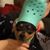 Kathy Thomas's profile image
