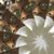 Patricia George's profile image