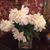 Annette Ray's profile image