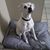 Misty Gonzales Hines's profile image