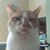 Kevin Brayton's profile image