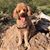 Marjorie Rohr's profile image