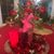 Suann Taylor-Sims's profile image