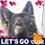 Sandy Durkovic's profile image