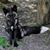 Dixie Fox's profile image