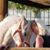 Annmarie Bodell's profile image
