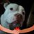 Shirley Ray's profile image