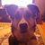 Lois Miller's profile image