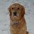 Hank Miller's profile image