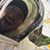 Sergio Moutela's profile image