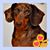 Jeannie Brier's profile image
