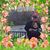 Lisa Long's profile image