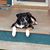 Suzy Perry's profile image