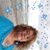 Diana Rodriguez's profile image