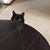Arla Norton Luna's profile image