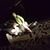 Tyler Scott Collins's profile image
